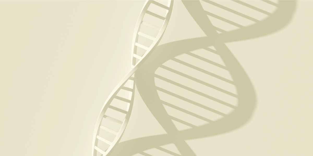 Introduction to Gene Therapies (3rd edition)